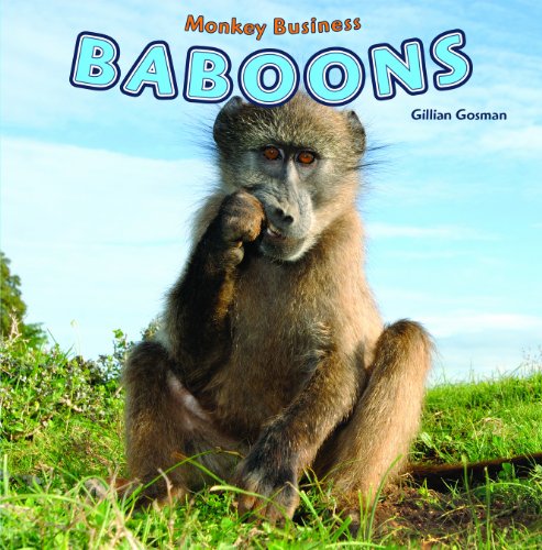 Baboons by Gillian Gosman