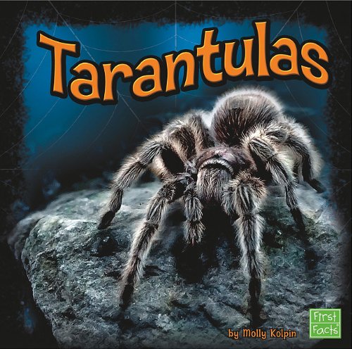 Tarantulas by Molly Kolpin