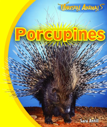 Porcupines by Sara Antill
