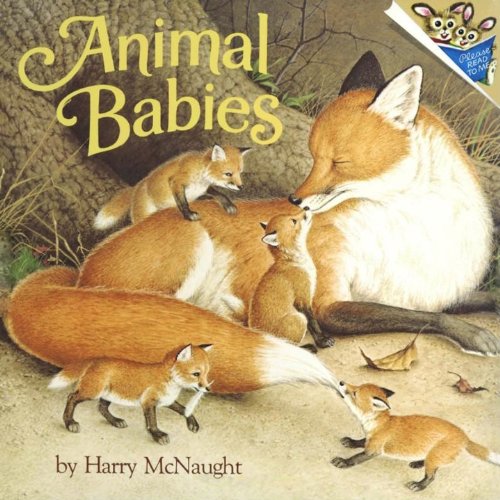 Animal Babies (Pictureback(R)) by Harry Mcnaught