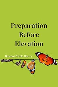 Preparation Before Elevation by Breanna Harvey