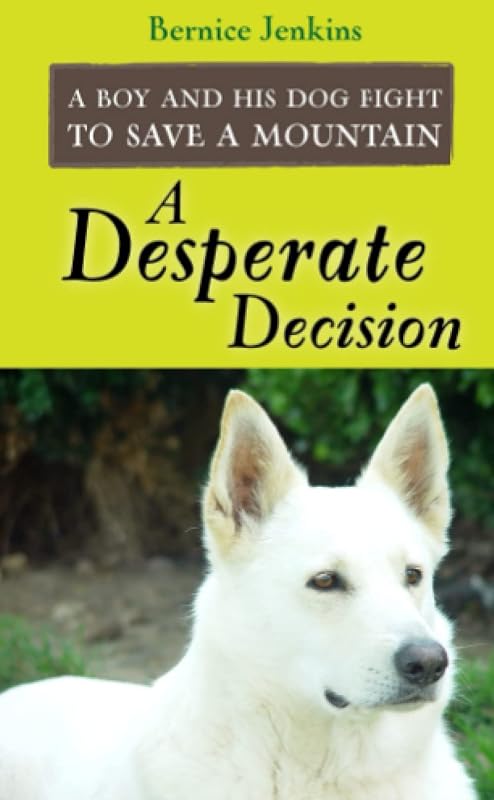 A Desperate Decision by Bernice Jenkins