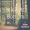 Brickett Bottom [short story]