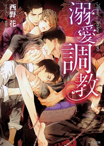 溺愛調教 (キャラ文庫)