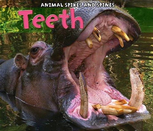 Teeth (Animal Spikes and Spines) by Rebecca Rissman