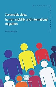 Sustainable Cities, Human Mobility and International Migration: A Concise Report