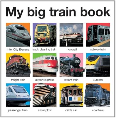 My Big Train Book