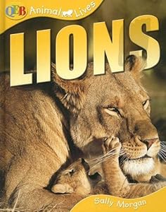 Lions (Qeb Animal Lives)