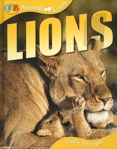 Lions (Qeb Animal Lives) by Sally Morgan