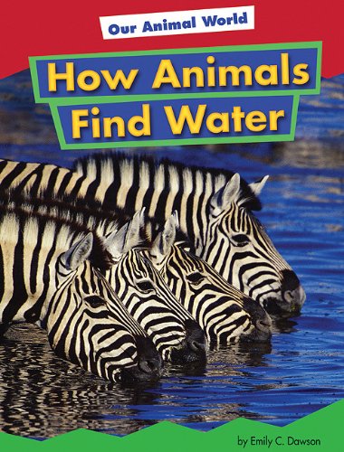 How Animals Find Water by Emily C. Dawson