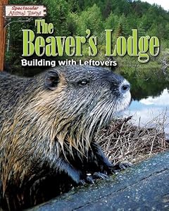 The Beaver's Lodge: Building with Leftovers by Adam Reingold