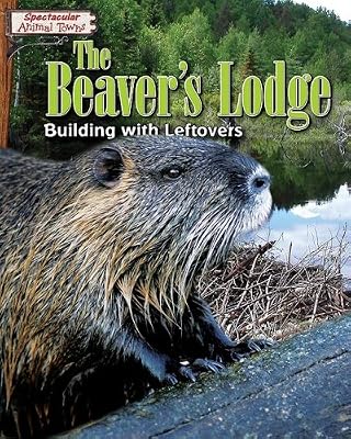 The Beaver's Lodge: Building with Leftovers