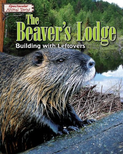 The Beaver's Lodge: Building with Leftovers by Adam Reingold
