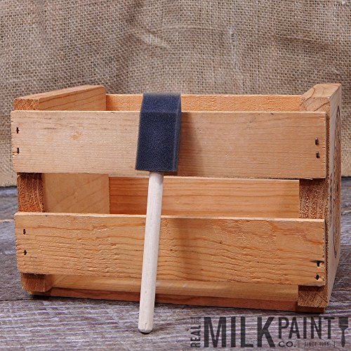 Algopix Similar Product 16 - Foam Brushes