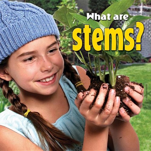What Are Stems? by Molly Aloian