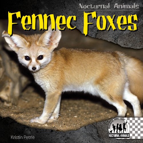 Fennec Foxes by Kristin Petrie