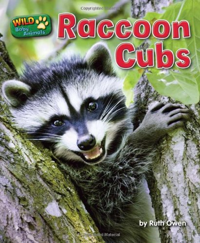 Raccoon Cubs by Ruth Owen