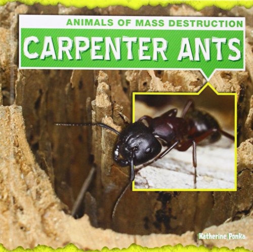 Carpenter Ants by Katherine Ponka