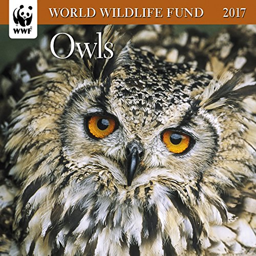 Owls WWF Mini Wall Calendar 2017