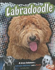Labradoodle: A Cross Between a Labrador Retriever and a Poodle by Kathy Allen  ,