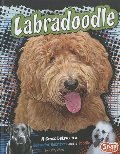 Labradoodle: A Cross Between a Labrador Retriever and a Poodle by Kathy Allen  ,
