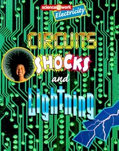 Electricity: Circuits, Shocks, and Lightning (Science @ Work)