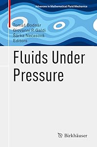 Fluids Under Pressure (Advances in Mathematical Fluid Mechanics) by Tom&aacute;&scaron; Bodn&aacute;r