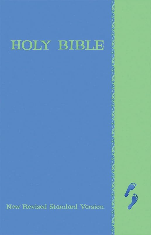 New Revised Standard Version Children's Bible- NRSV Blue/Green Cover by Abingdon Press