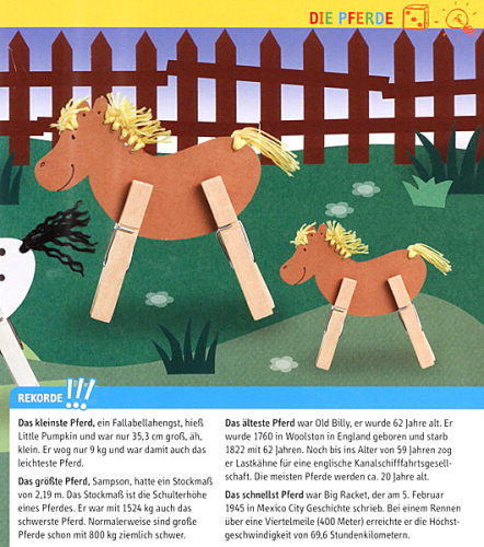 Auf dem Bauernhof: Das Bastelbuch mit Köpfchen, basteln und spielen! (E