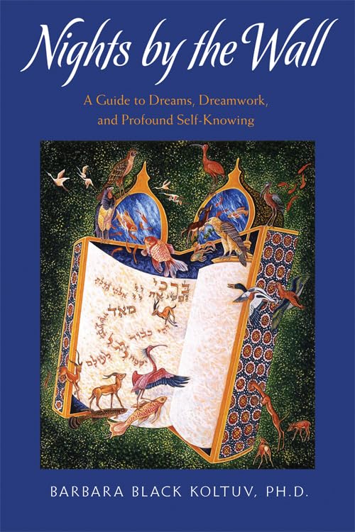 Nights by the Wall: A Guide to Dreams, Dreamwork, and Profound Self-Knowing by Barbara Black Koltuv
