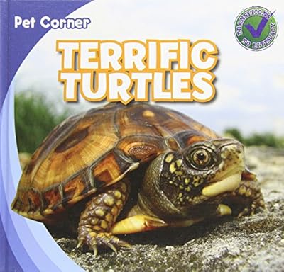 Terrific Turtles