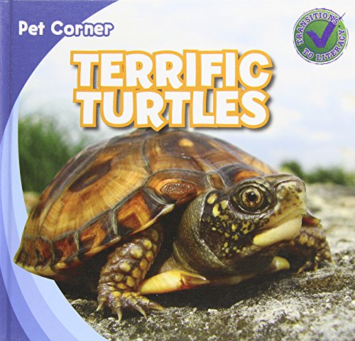 Terrific Turtles by Rose Carraway