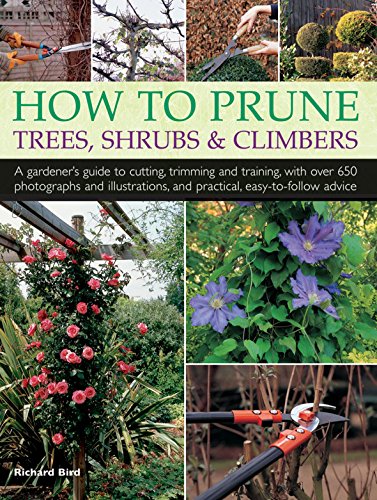 How to Prune Trees, Shrubs &amp; Climbers: A Gardener'S Guide To Cutting, Trimming And Training, With Over 650 Photographs And Illustrations, And Practical, Easy-To-Follow Advice by Richard Bird