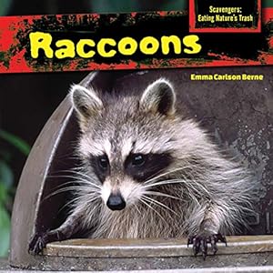 Raccoons