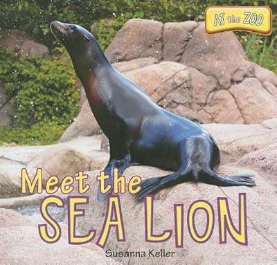 Meet the Sea Lion (At the Zoo)