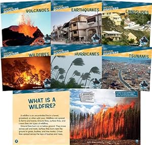Natural Disasters by Rochelle Baltzer
