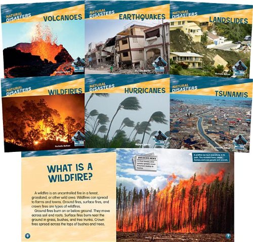 Natural Disasters by Rochelle Baltzer