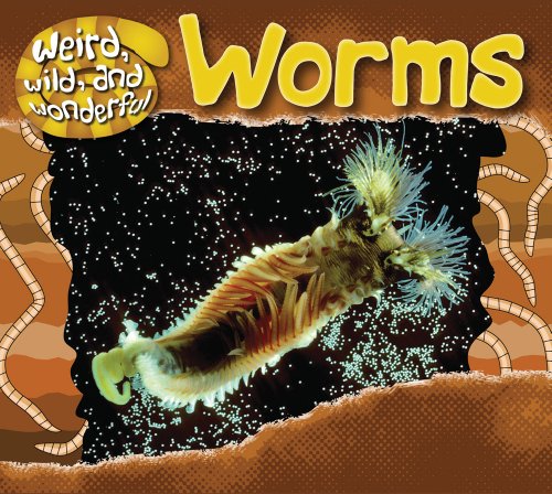Worms (Weird, Wild, and Wonderful) by Rose Inserra