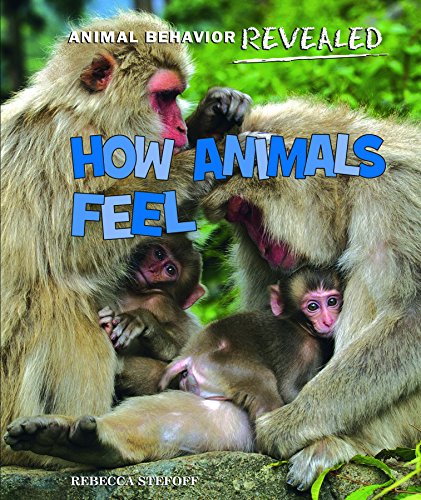 How Animals Feel by Rebecca Stefoff