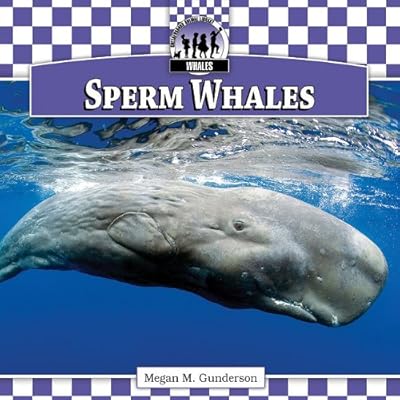 Sperm Whales
