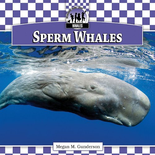 Sperm Whales by Megan M. Gunderson