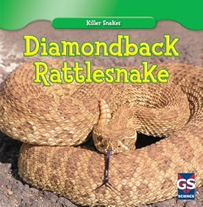 Diamondback Rattlesnake by Autumn Leigh