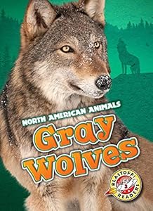 Gray wolves