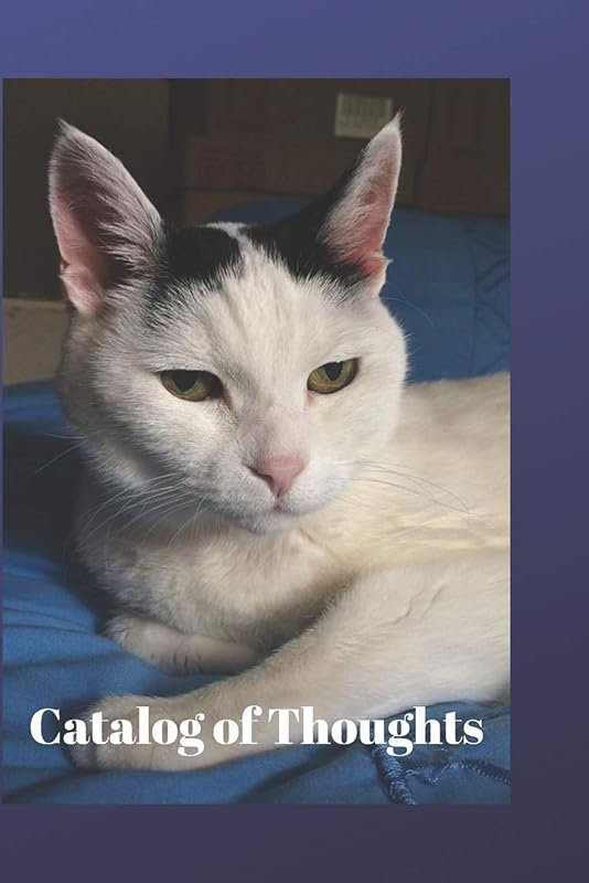 Catalog of Thoughts by Lisa Chase
