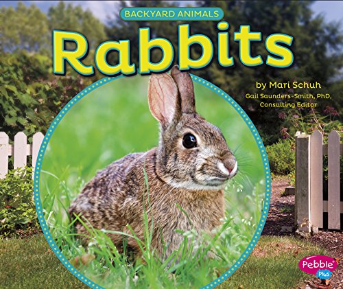 Rabbits by Mari Schuh