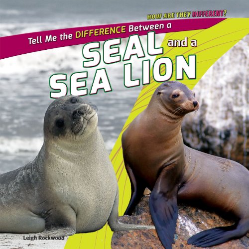 A Seal and a Sea Lion by Leigh Rockwood