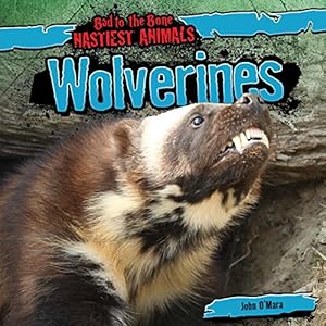 Wolverines by John O'Mara