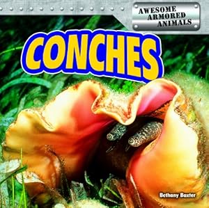 Conches