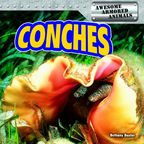Conches by Bethany Baxter