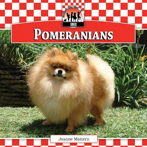 Pomeranians by Joanne Mattern